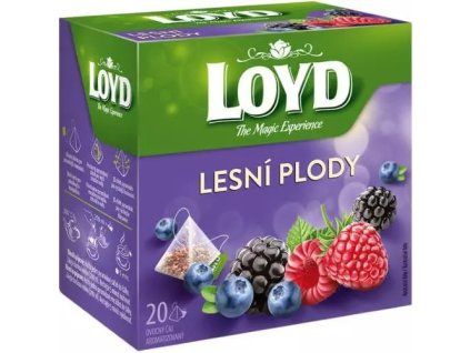 Loyd Tea piramide bosbessen 40 g