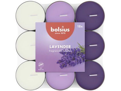 Bolsius theegeurende kaarsen Lavendel basic driekleurig 18 stuks