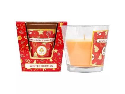 Arôme kaars 120 g Winterbessen