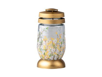 Bolsius begraafplaatsglas 23 cm statiegeld 120g 36u. Zlatice