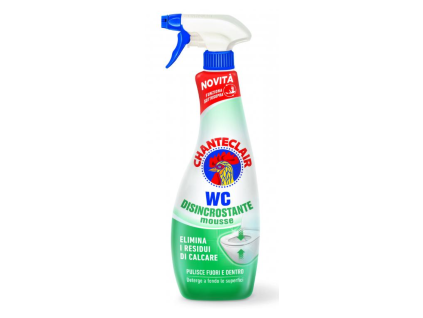 Chante Cl WC-schuim 625 ml ontkalker MR