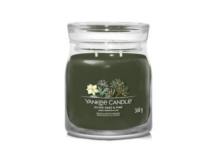 YANKEE CANDLE SILVER SAGE & PINE SIGNATURE MEDIUM