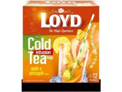 Loyd Tea piramide cold brew appel ananas 30g