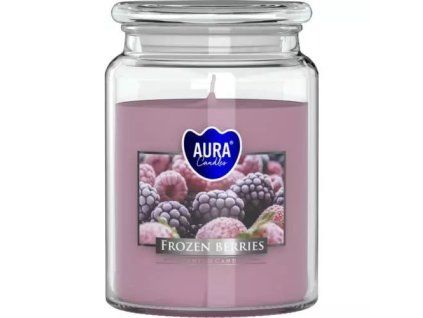 Bispol kaars met bevroren bessen 500 g