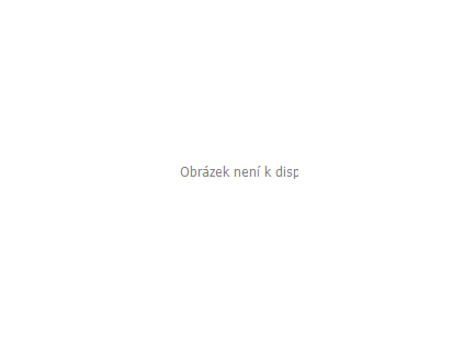 allnature dynove seminko bio 100 g