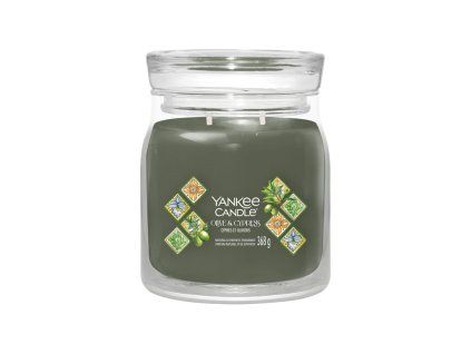YANKEE CANDLE OLIVE & CYPRESS SIGNATURE MEDIUM