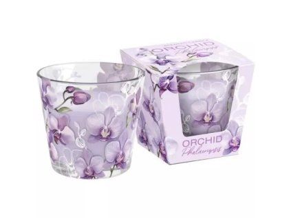 Bartek kaarsen orchidee phalaenopsis 115g