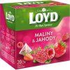 Loyd Tea framboos + aardbei piramide 40g