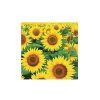 Servetten 33 cm – Zonnebloemveld