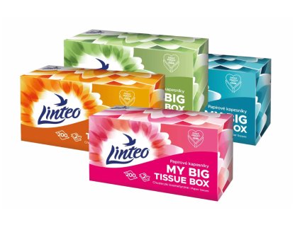 Snímka obrazovky 2025 06 20 103434