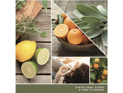 Świeca zapachowa YANKEE CANDLE SAGE & CITRUS SIGNATURE LARGE