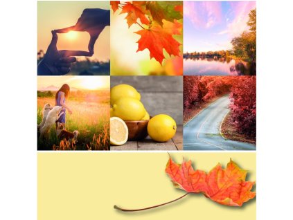 Świeca YANKEE CANDLE AUTUMN SUNSET SIGNATURE MEDIUM