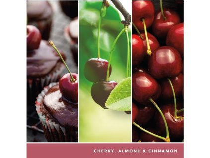 Świeca YANKEE CANDLE BLACK CHERRY SIGNATURE MEDIUM