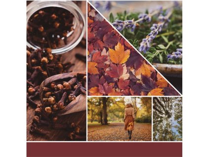 Świeca YANKEE CANDLE Autumn Daydream Signature Medium