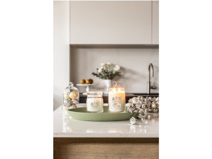 Świeca YANKEE CANDLE White Spruce & Grejpfrut Signature Medium