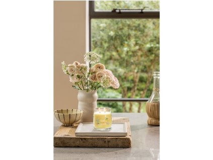 YANKEE CANDLE LEMON GELATO SIGNATURE ŚREDNIE