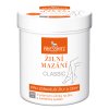 120558 priessnitz zilni mazani 300ml classic