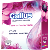 GALLUS proszek 10PD BOX kolor