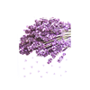 cz pim 377011001001 00