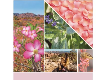 Lumânare Yankee Desert Blooms, pahar mic cu semnătură