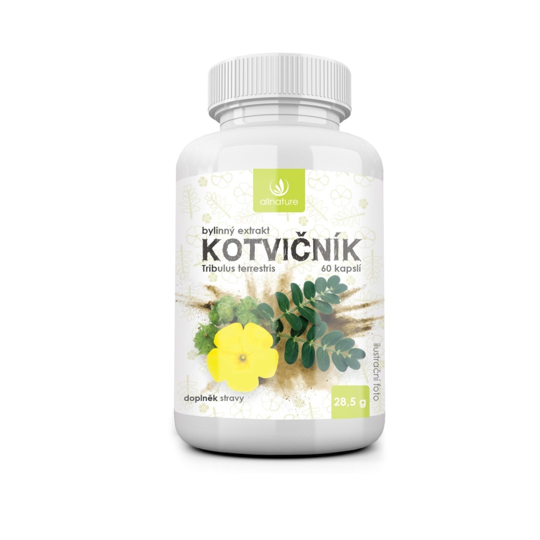 Extract din plante Allnature cu antracnoză 60 comprimate