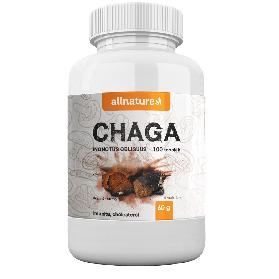 Allnature Chaga 100 capsule.