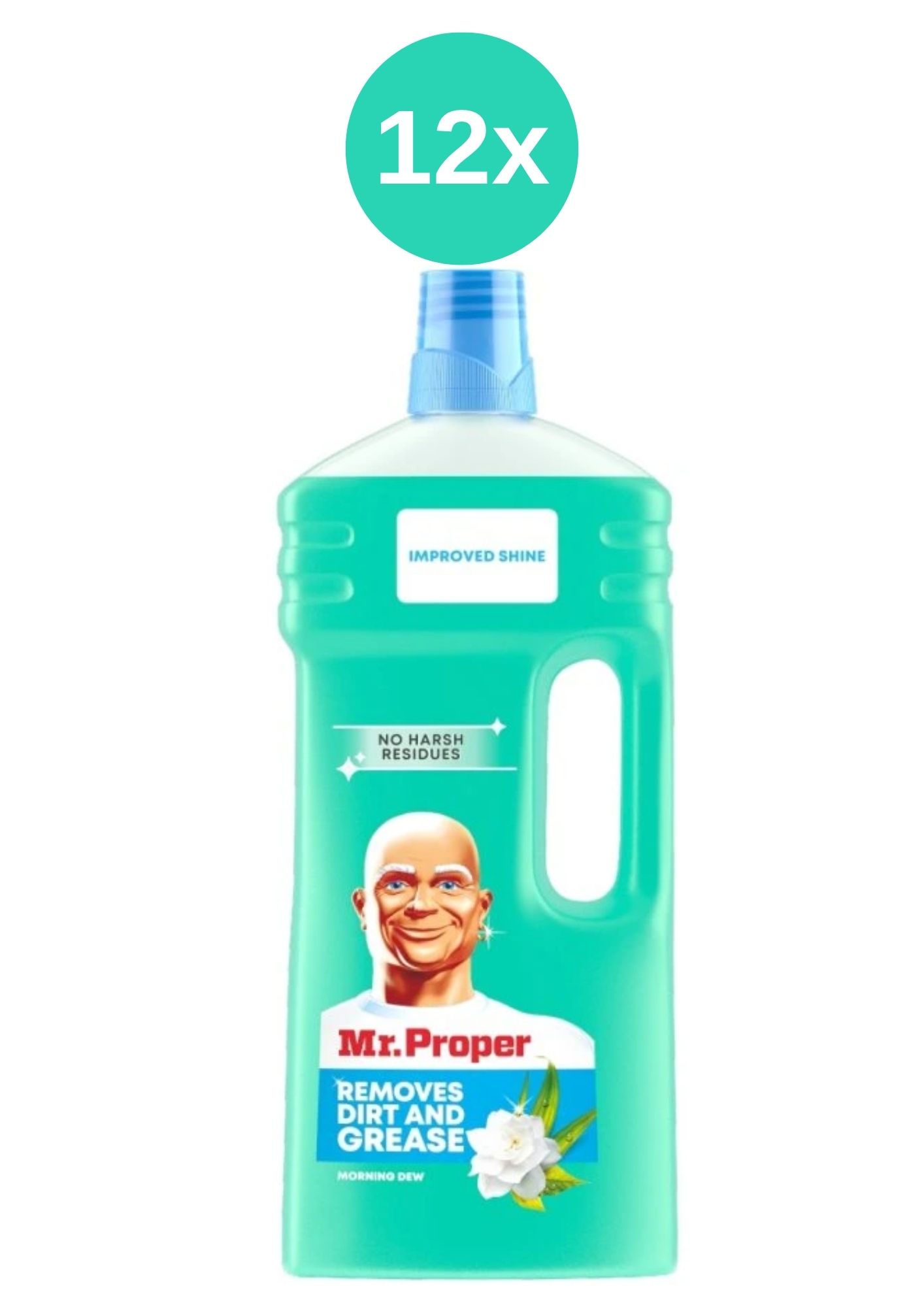 Soluție de curățare Mr Proper 12 x 1,5 l Morning Dew