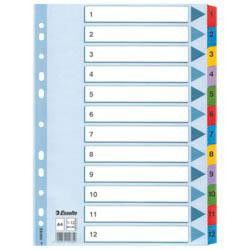 Indexuri Esselte Mylar A4 1-12 1 buc.