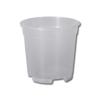 Nohel-Garden Ghiveci orhidee transparent D 17 cm 1 buc