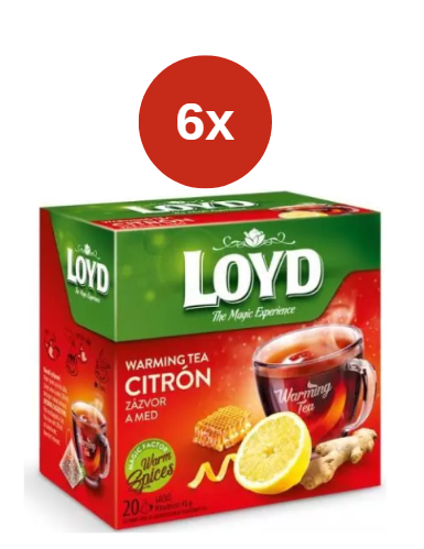 Loyd Ceai încălzitor piramidal cu lămâie și ghimbir și miere 6x40g
