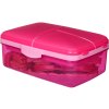 Cutie de gustări Sistema Lunch Quaddie 1,5 l, divizată, cu 3 compartimente rabatabile în capac și o sticlă de băut, roz