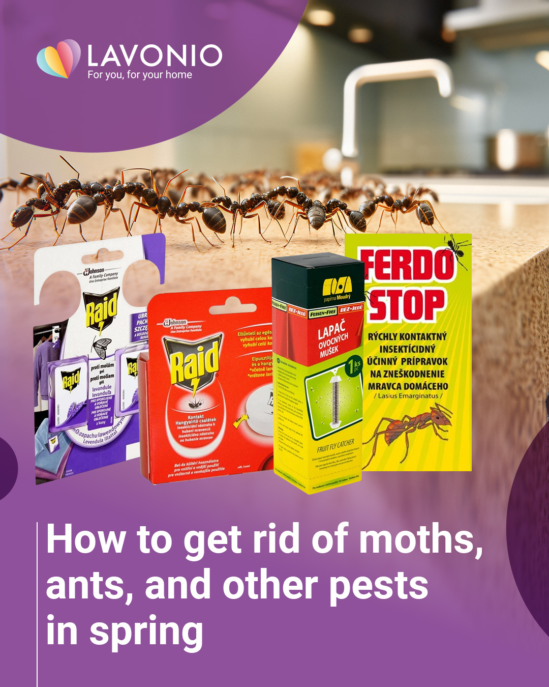 Find out how to get rid of moths, ants, and other household pests in spring.