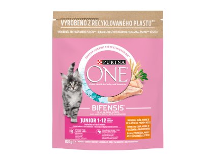 125094 purina one granule 800g junior kur obil