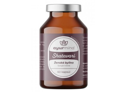 Snímka obrazovky 2025 08 04 091155