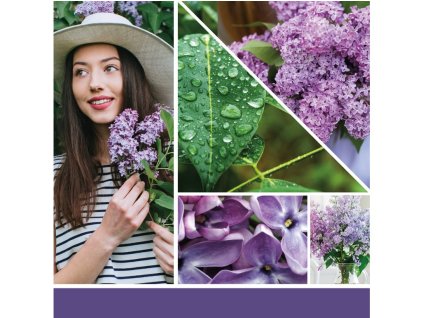 Sveča YANKEE CANDLE Lilac Blossoms Signature srednja