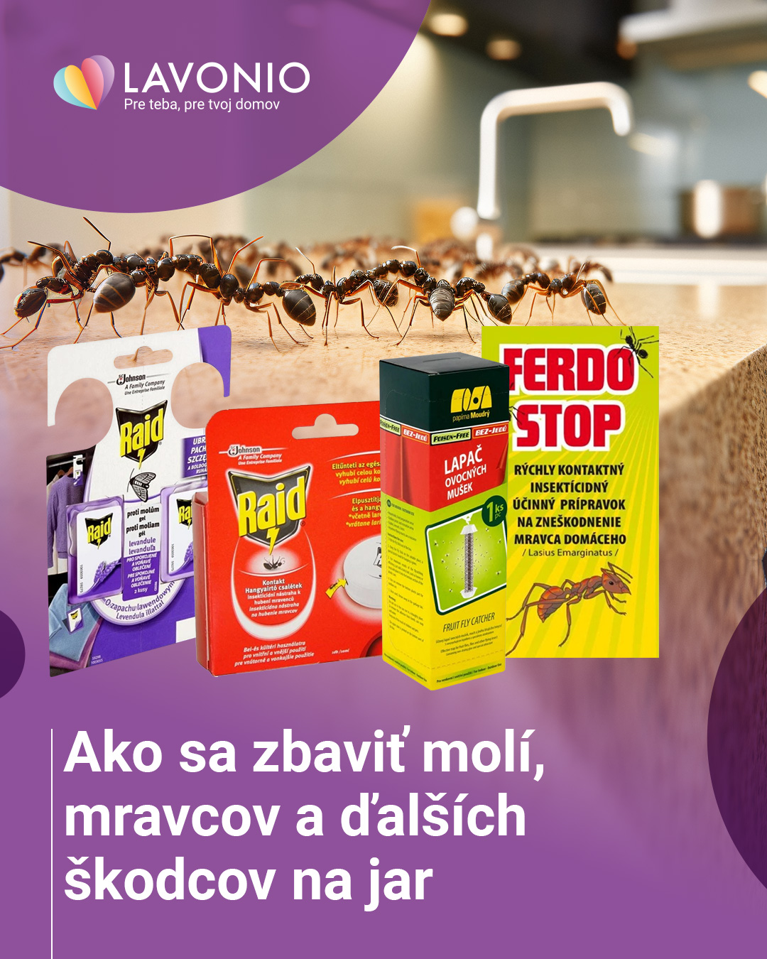Zistite, ako sa na jar zbaviť molí, mravcov a ďalších škodcov v domácnosti.