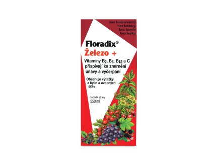 Salus Floradix sirup proti únave 250ml