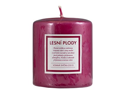 Q Home sviečka 235g lesné plody