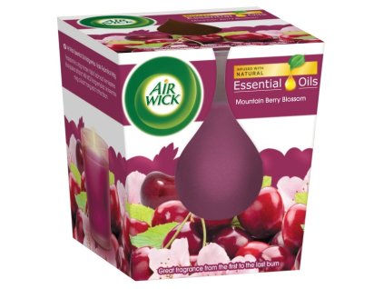 Air Wick svíčka 105g Višňový čaj Ks
