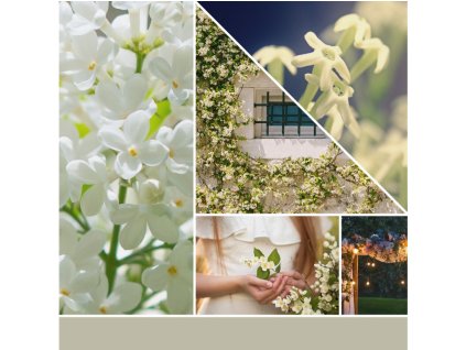 YANKEE CANDLE VOTÍVNA SVIEČKA PLNENÁ V SKLE MIDNIGHT JASMINE