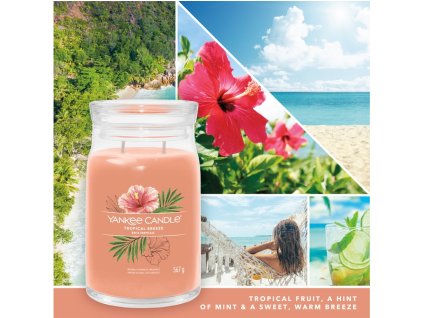 YANKEE CANDLE TROPICAL BREEZE SIGNATURE VEĽKÝ
