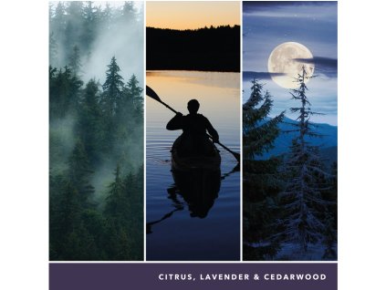 YANKEE CANDLE MIDSUMMER'S NIGHT SIGNATURE STREDNÁ