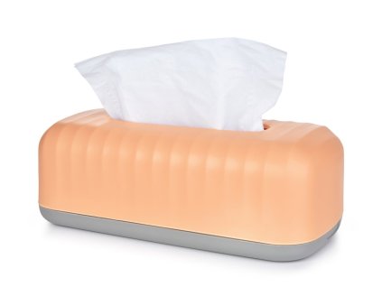 BEAUTY | plastový box / krabička na papírové kapesníky