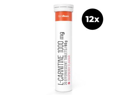 bulk l carnitine effervescent