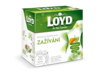 Loyd Tea pyramída zažívanie 40g