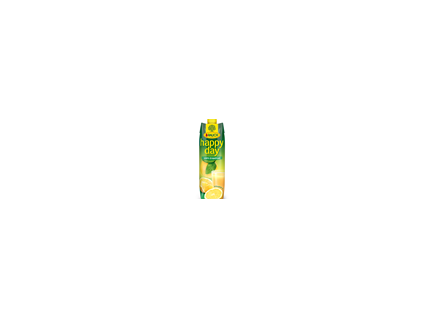 RAUCH happy day Grapefruit 100% 1 l