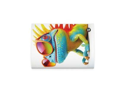 KARTON P+P Zošit A4 444 chameleón 1 ks