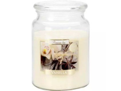 Bispol sviečka vanilla 500g