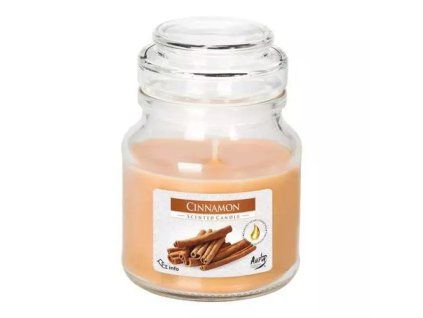 Bispol sviečka cinnamon 120g