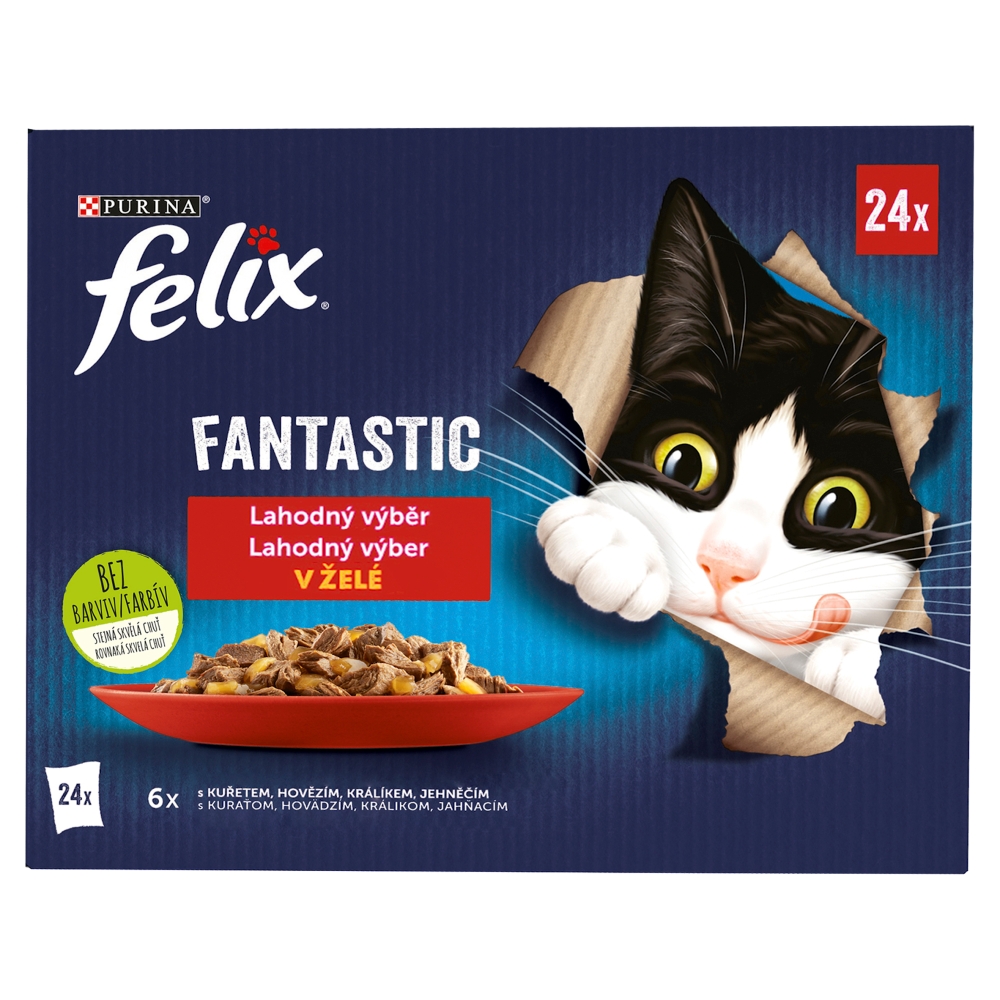 Felix vrecko (24x85g/kra) fľaša výber